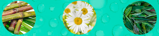 6.png 6.png